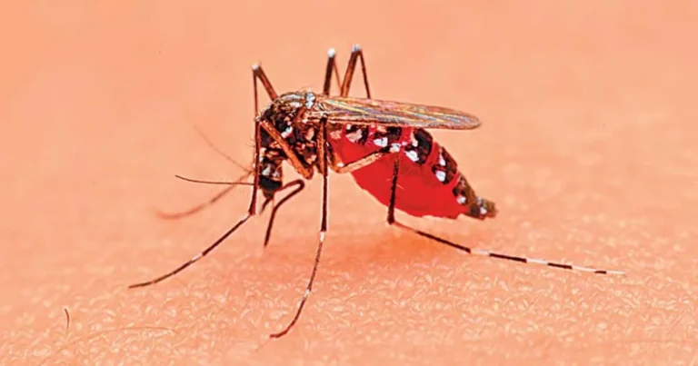 Aparición de enfermedades en latitudes diferentes a las actuales